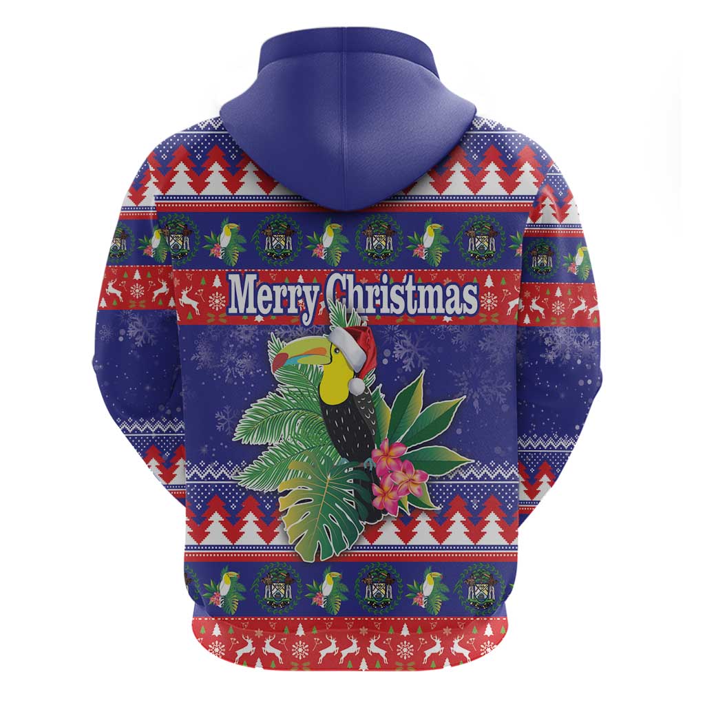 Belize Keel-billed Toucan Bird Christmas Hoodie Feliz Navidad With Knitted Christmas Pattern LT18