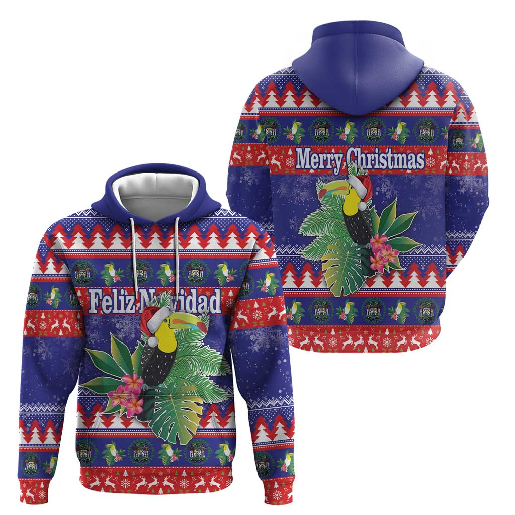 Belize Keel-billed Toucan Bird Christmas Hoodie Feliz Navidad With Knitted Christmas Pattern LT18