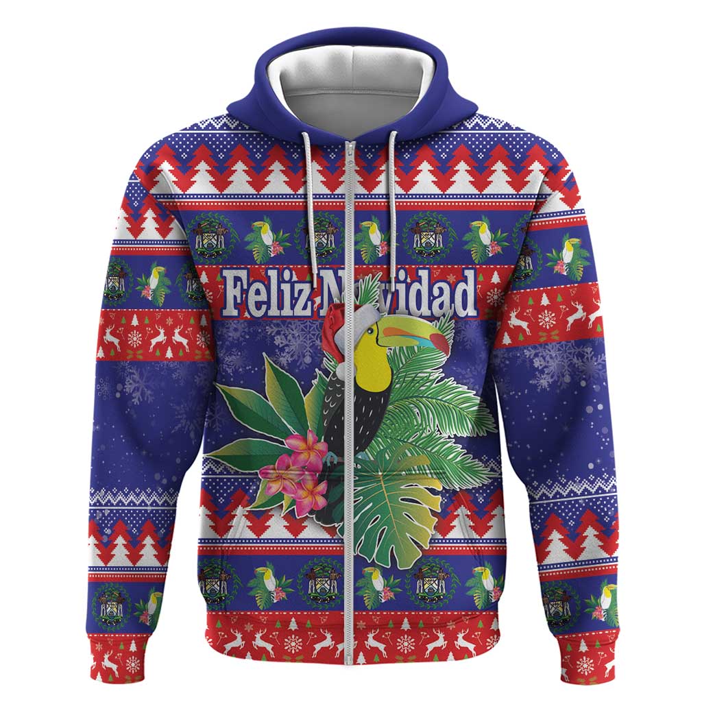 Belize Keel-billed Toucan Bird Christmas Hoodie Feliz Navidad With Knitted Christmas Pattern LT18