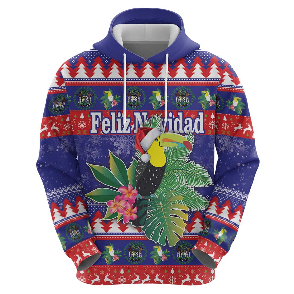 Belize Keel-billed Toucan Bird Christmas Hoodie Feliz Navidad With Knitted Christmas Pattern LT18