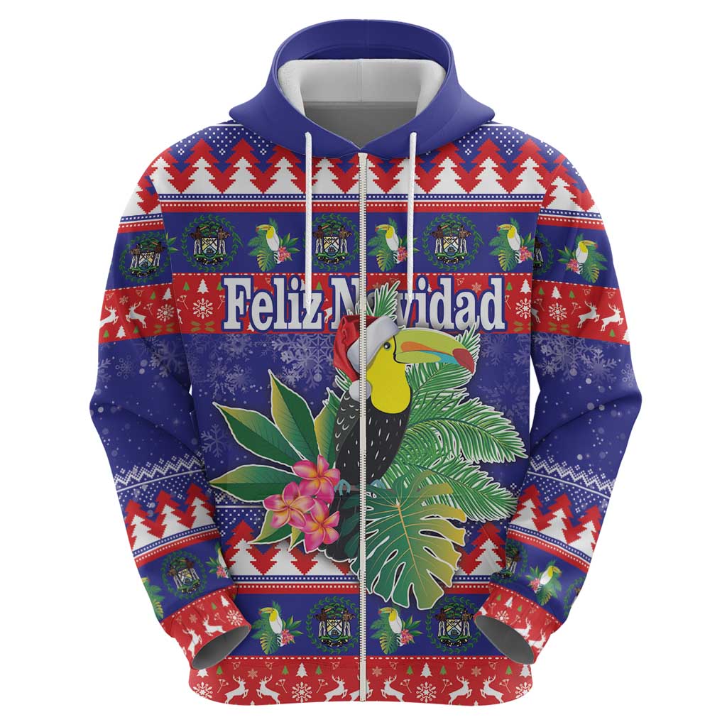 Belize Keel-billed Toucan Bird Christmas Hoodie Feliz Navidad With Knitted Christmas Pattern LT18
