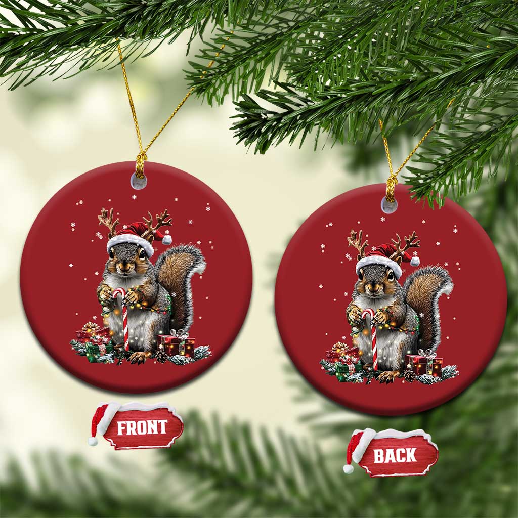 Xmas Squirrel Christmas Ornament Xmas Tree Lights Reindeer Santa Hat Pajamas TS02