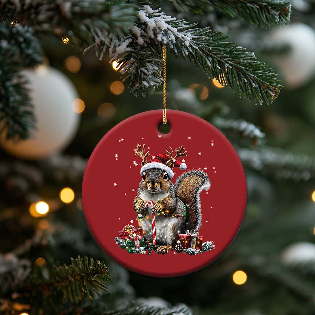 Xmas Squirrel Christmas Ornament Xmas Tree Lights Reindeer Santa Hat Pajamas TS02