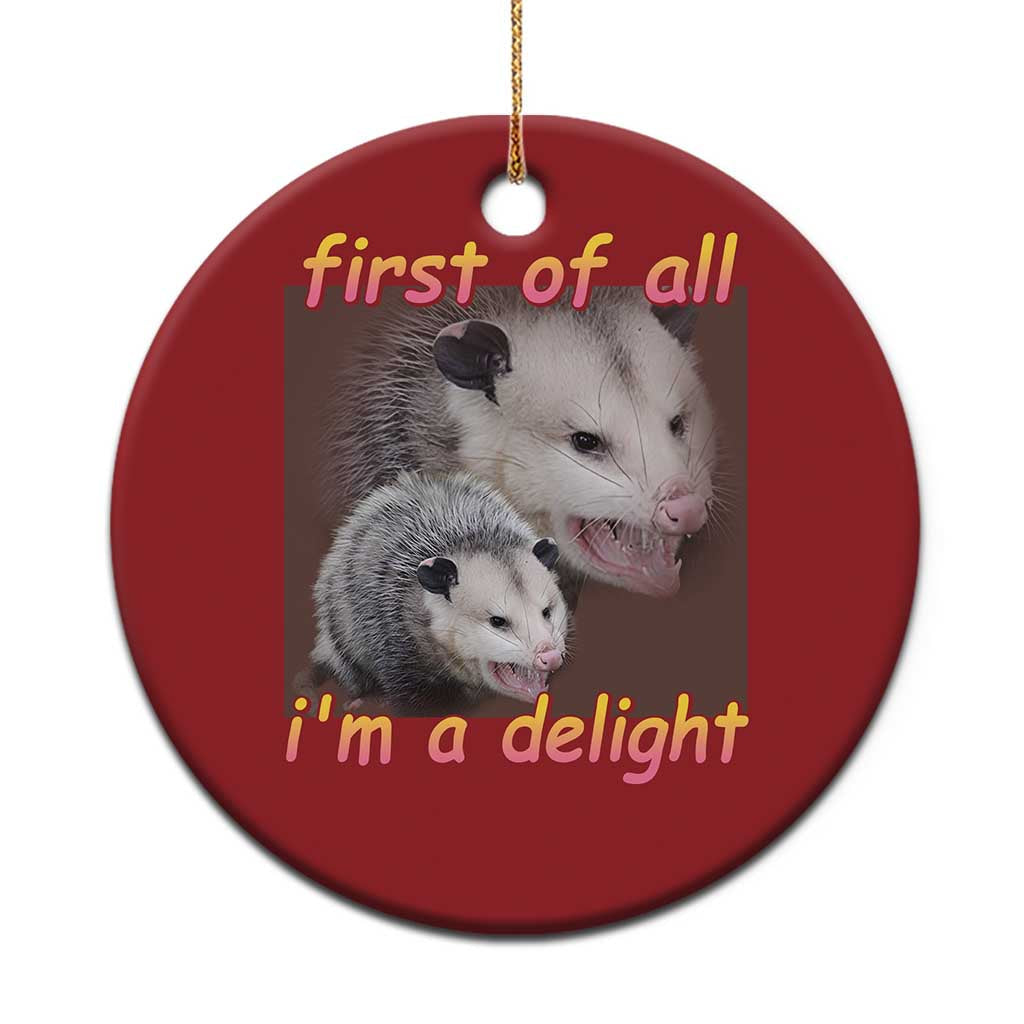 Funny Opossum Christmas Ornament First Of All I'm A Delight TS02