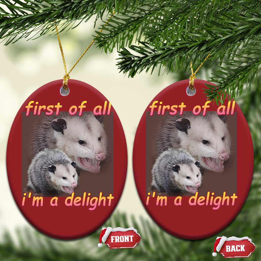 Funny Opossum Christmas Ornament First Of All I'm A Delight TS02