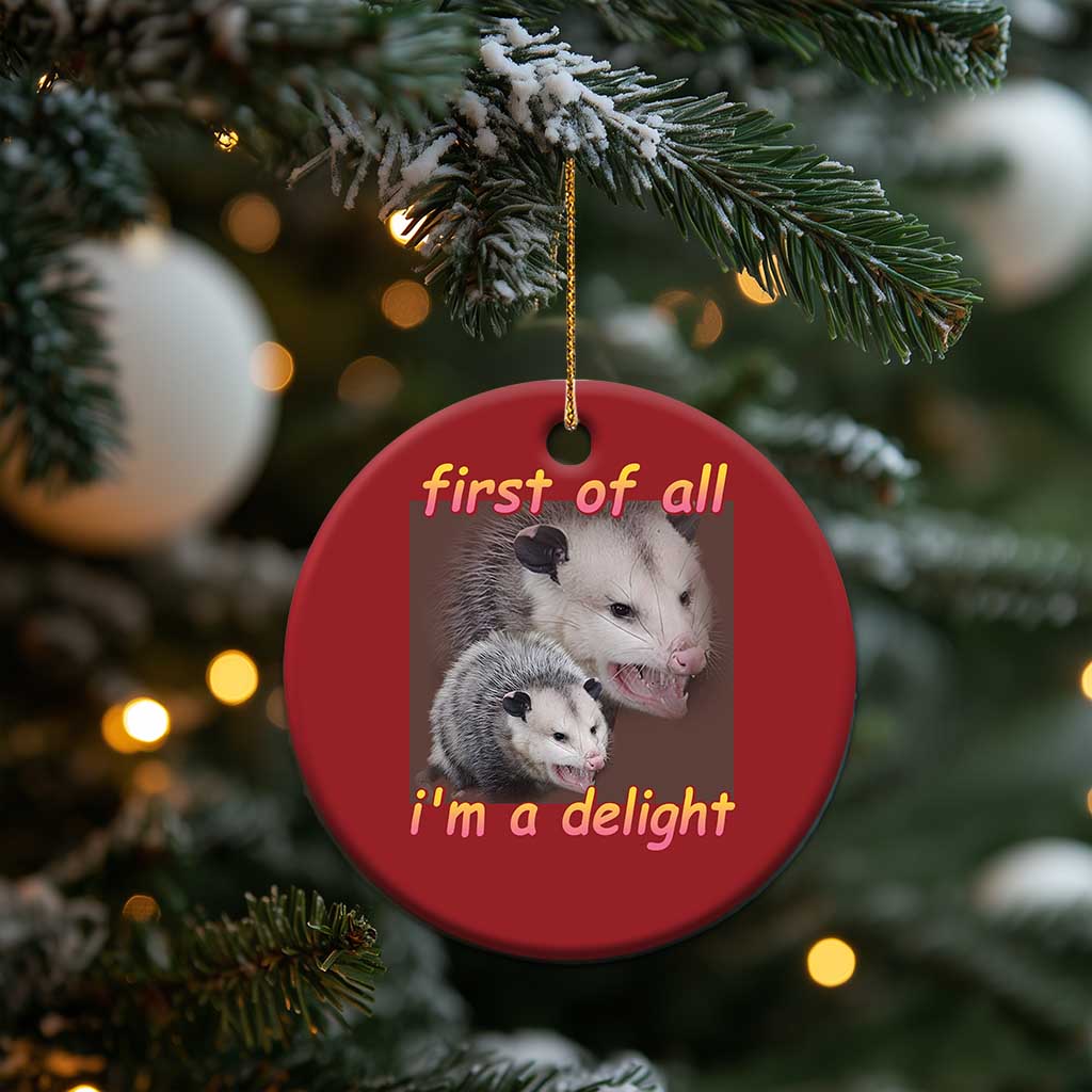 Funny Opossum Christmas Ornament First Of All I'm A Delight TS02