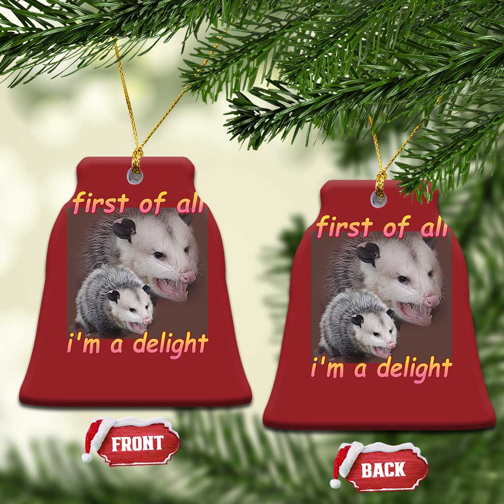Funny Opossum Christmas Ornament First Of All I'm A Delight TS02