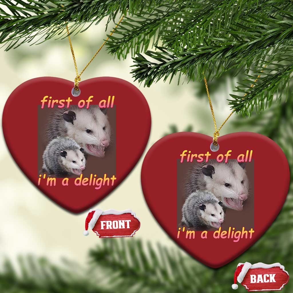 Funny Opossum Christmas Ornament First Of All I'm A Delight TS02