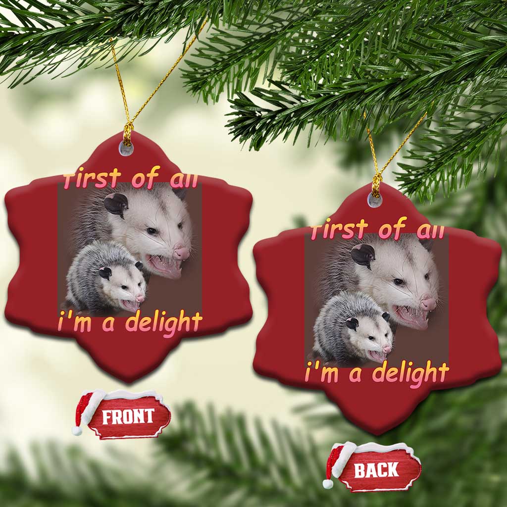Funny Opossum Christmas Ornament First Of All I'm A Delight TS02