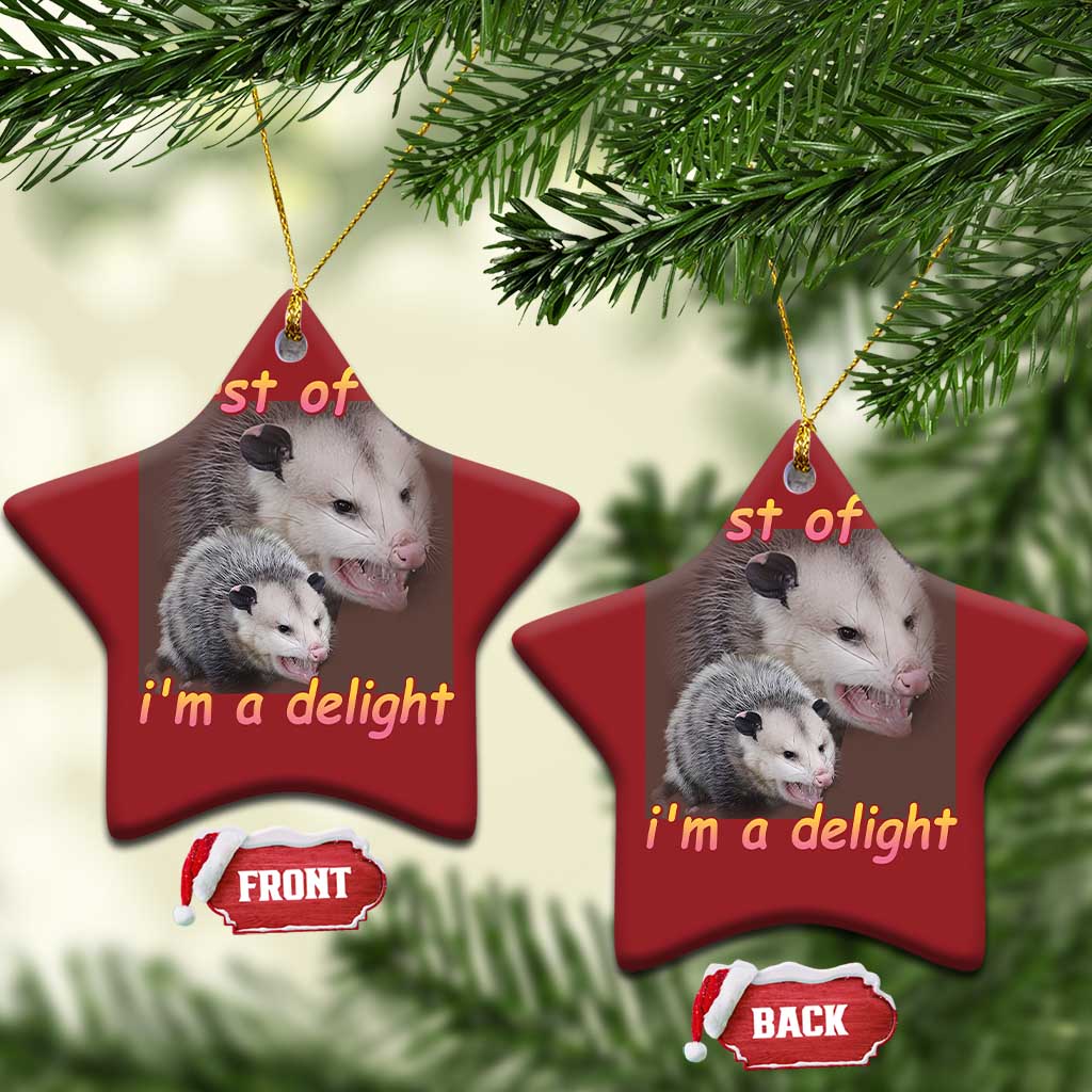 Funny Opossum Christmas Ornament First Of All I'm A Delight TS02