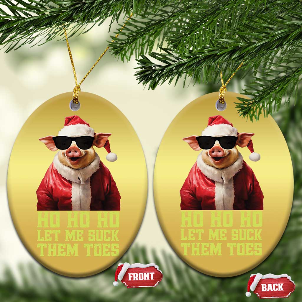 Funny Pig Santa Christmas Ornament Ho Ho Ho Let Me Suck Them Toes Weird Festive Christmas TS02