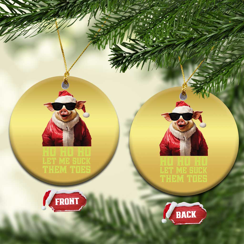 Funny Pig Santa Christmas Ornament Ho Ho Ho Let Me Suck Them Toes Weird Festive Christmas TS02