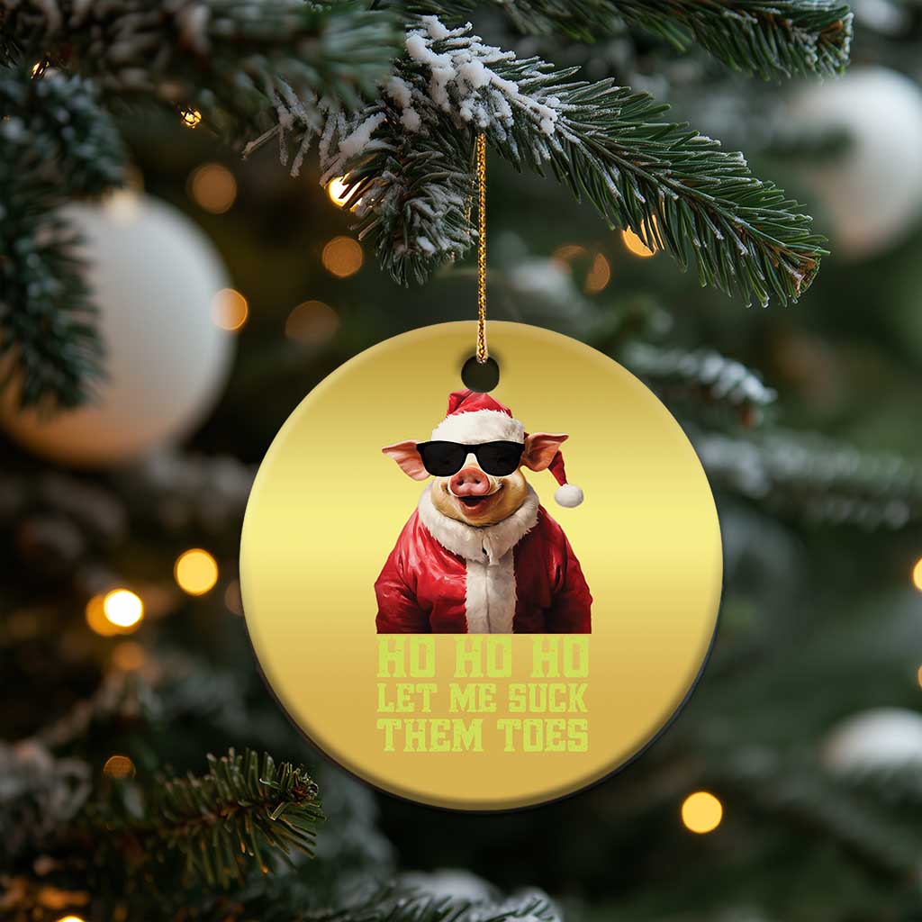 Funny Pig Santa Christmas Ornament Ho Ho Ho Let Me Suck Them Toes Weird Festive Christmas TS02
