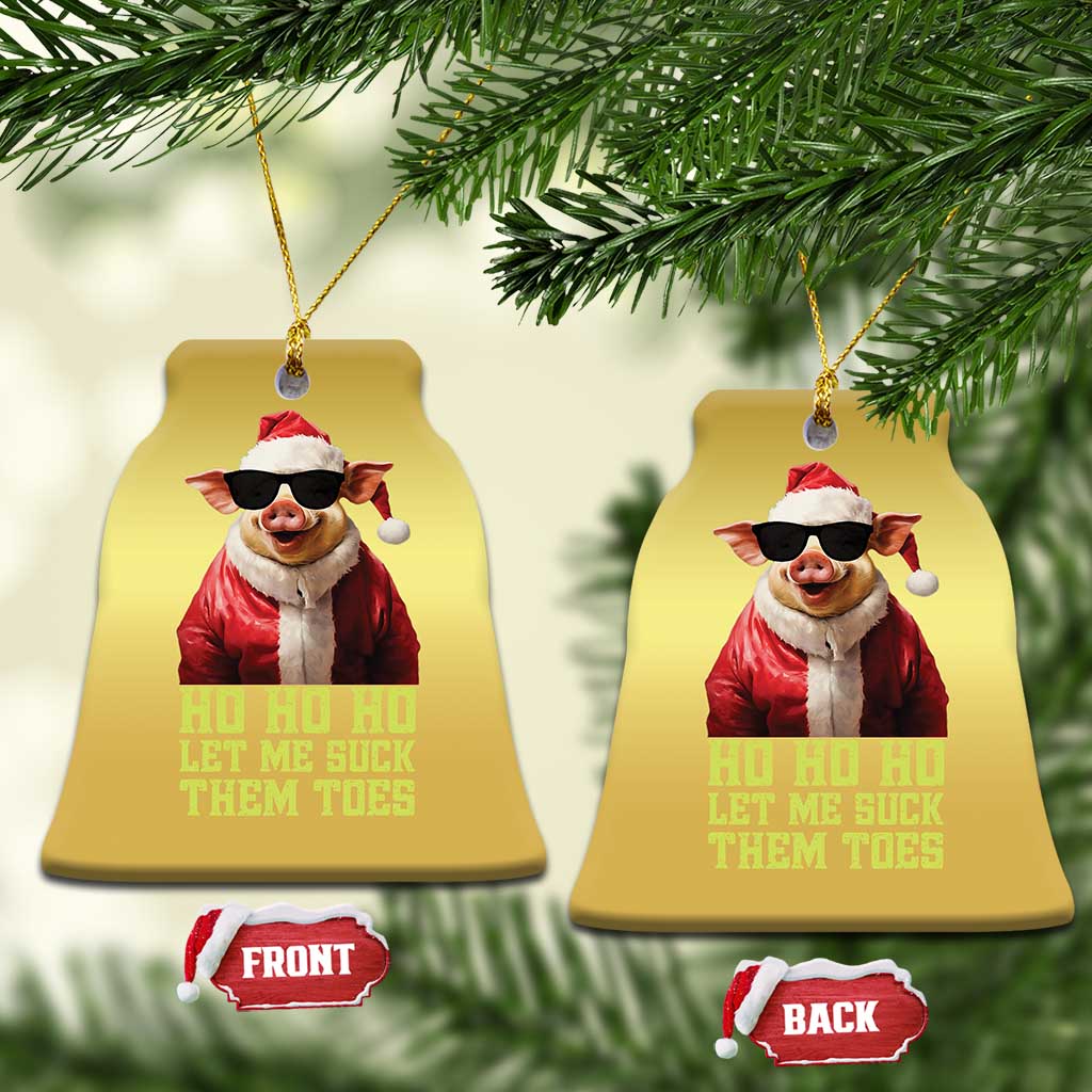 Funny Pig Santa Christmas Ornament Ho Ho Ho Let Me Suck Them Toes Weird Festive Christmas TS02