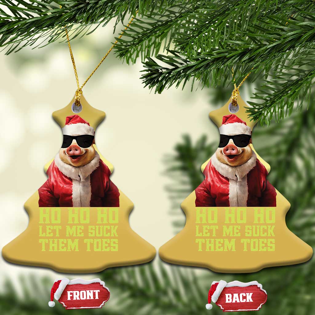 Funny Pig Santa Christmas Ornament Ho Ho Ho Let Me Suck Them Toes Weird Festive Christmas TS02