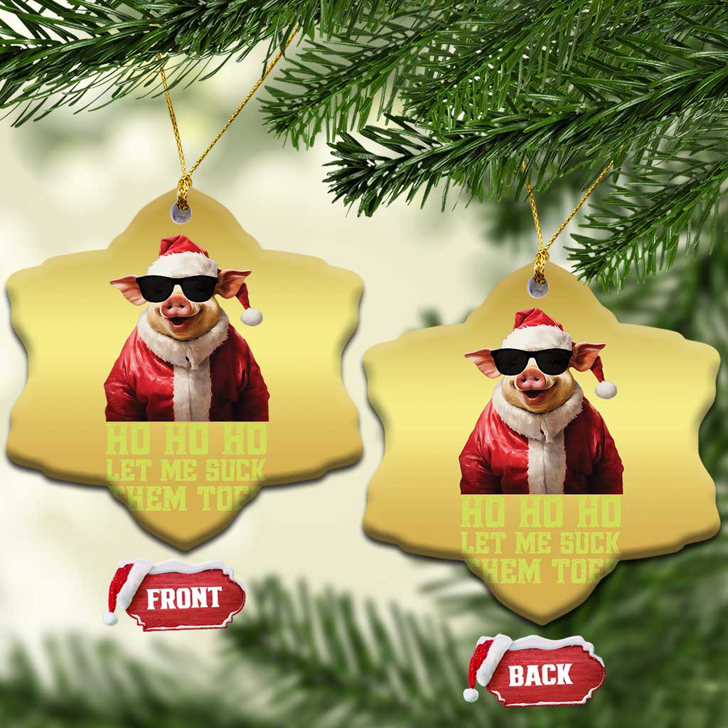 Funny Pig Santa Christmas Ornament Ho Ho Ho Let Me Suck Them Toes Weird Festive Christmas TS02