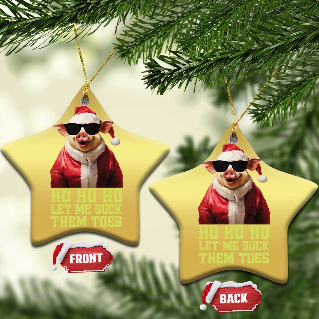 Funny Pig Santa Christmas Ornament Ho Ho Ho Let Me Suck Them Toes Weird Festive Christmas TS02