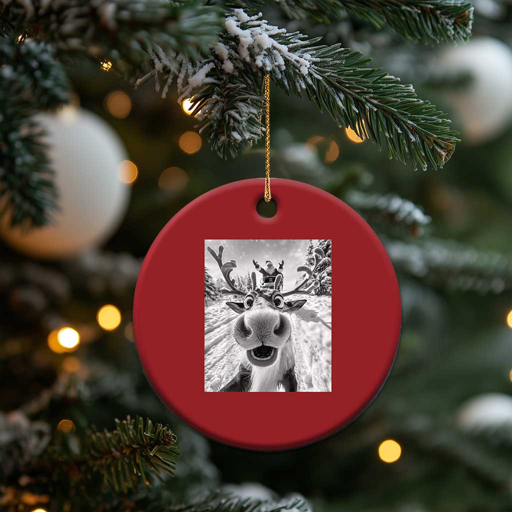 Funny Xmas Reindeer Selfie Christmas Ornament With Santa Xmas Gag Gift TS02
