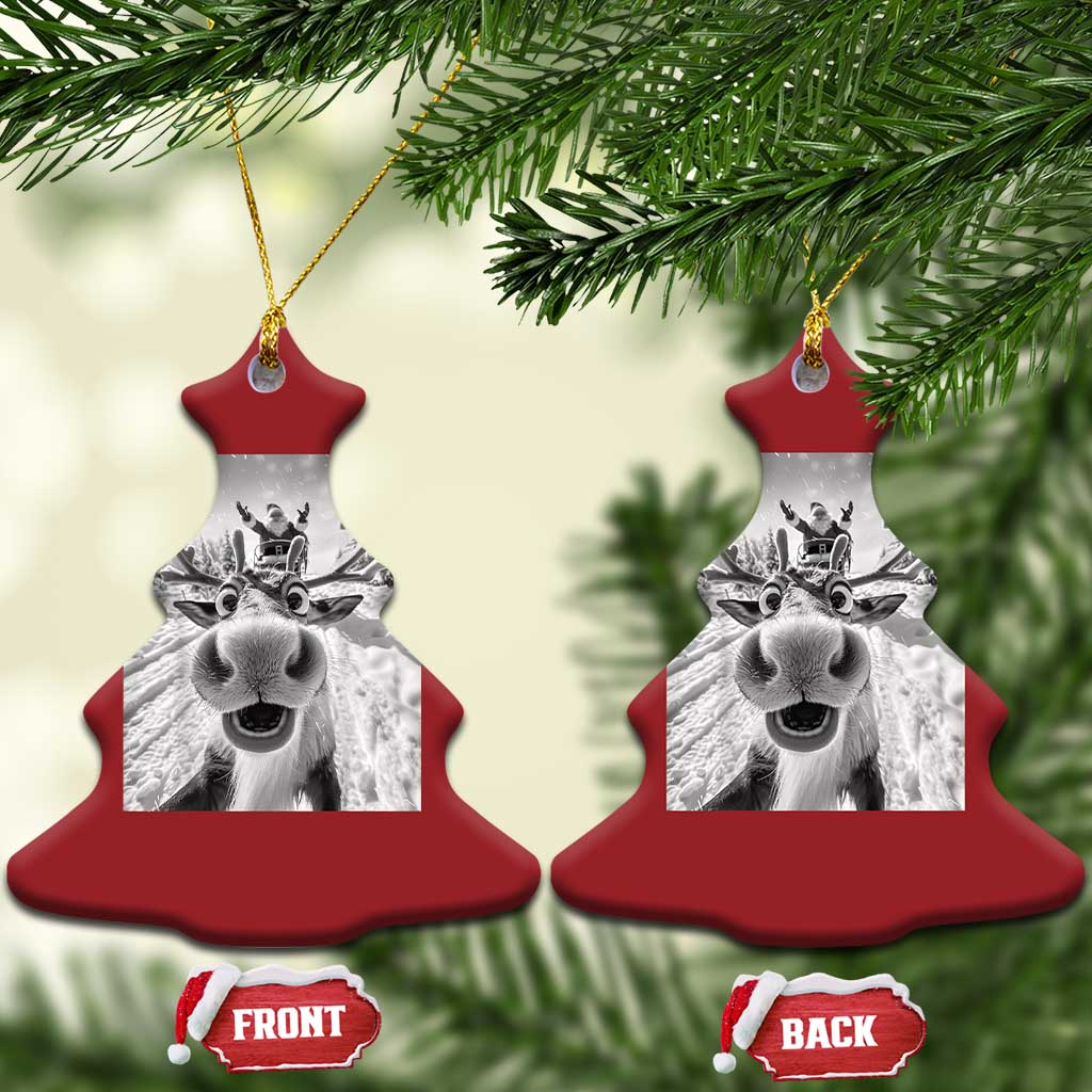 Funny Xmas Reindeer Selfie Christmas Ornament With Santa Xmas Gag Gift TS02