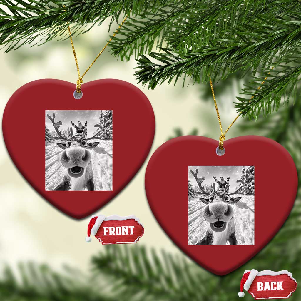 Funny Xmas Reindeer Selfie Christmas Ornament With Santa Xmas Gag Gift TS02