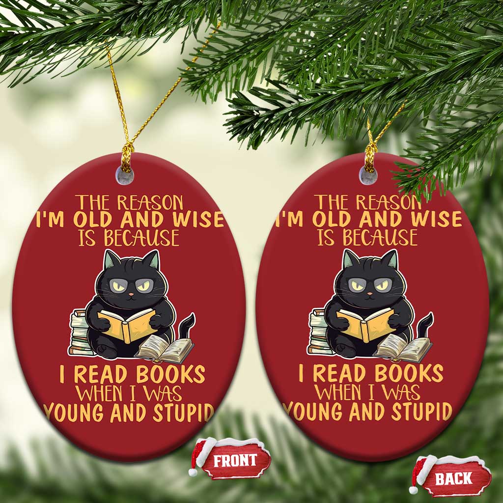 Black Cat Reading Christmas Ornament I'm Old And Wise Because I Read Books When I Was Young And Stupid Funny Reading Lover TS02