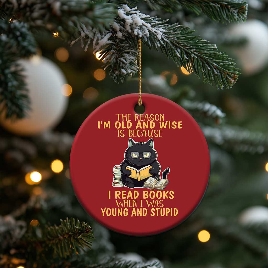 Black Cat Reading Christmas Ornament I'm Old And Wise Because I Read Books When I Was Young And Stupid Funny Reading Lover TS02