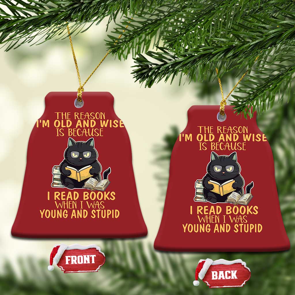 Black Cat Reading Christmas Ornament I'm Old And Wise Because I Read Books When I Was Young And Stupid Funny Reading Lover TS02