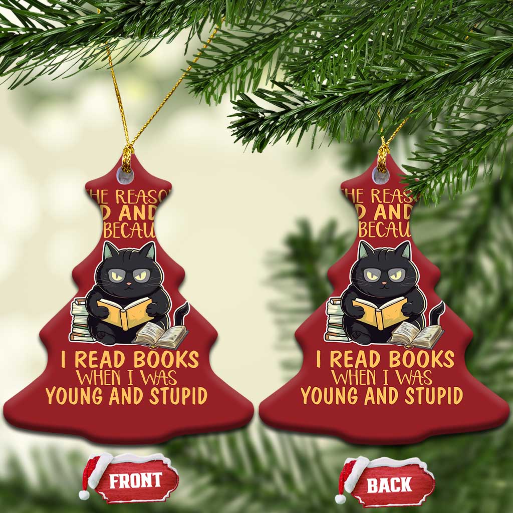 Black Cat Reading Christmas Ornament I'm Old And Wise Because I Read Books When I Was Young And Stupid Funny Reading Lover TS02