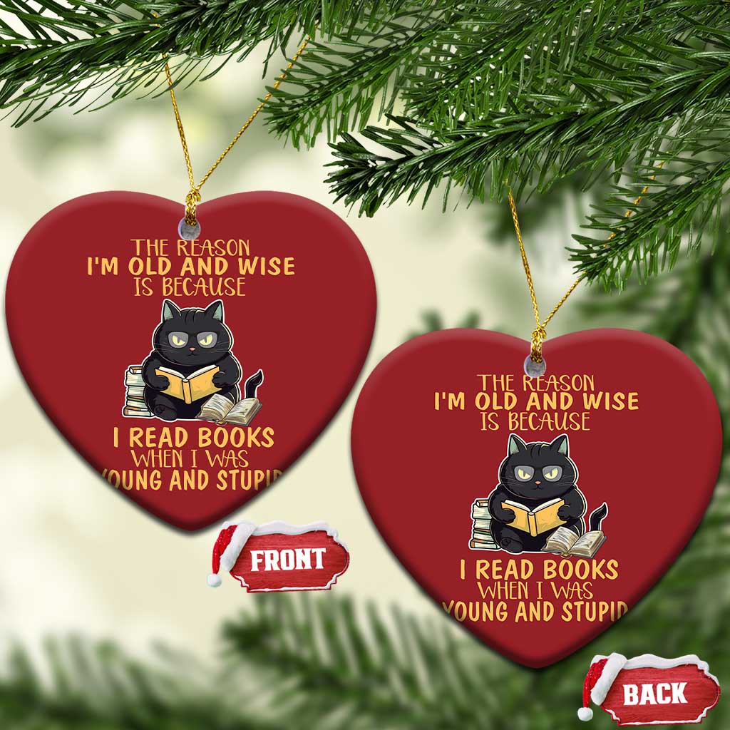 Black Cat Reading Christmas Ornament I'm Old And Wise Because I Read Books When I Was Young And Stupid Funny Reading Lover TS02