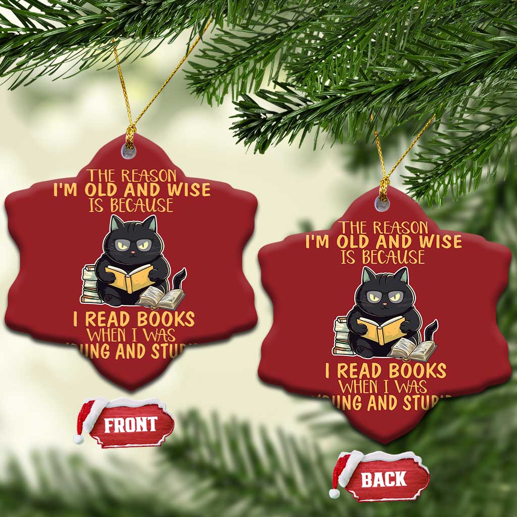 Black Cat Reading Christmas Ornament I'm Old And Wise Because I Read Books When I Was Young And Stupid Funny Reading Lover TS02