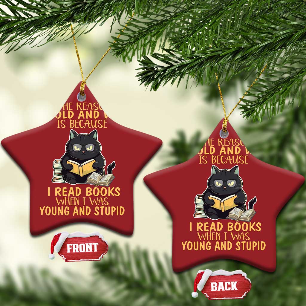 Black Cat Reading Christmas Ornament I'm Old And Wise Because I Read Books When I Was Young And Stupid Funny Reading Lover TS02
