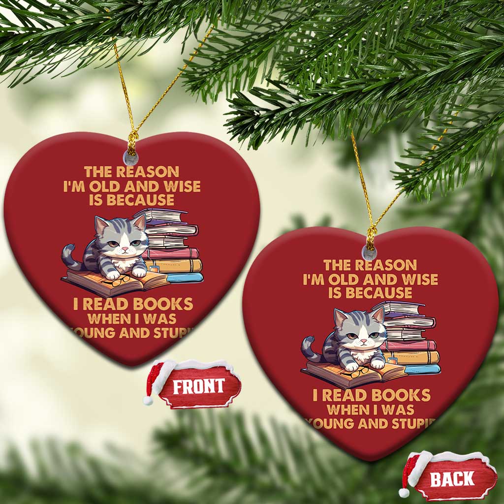 Cat Reading Christmas Ornament I'm Old And Wise Because I Read Books When I Was Young And Stupid Funny Reading Lover TS02