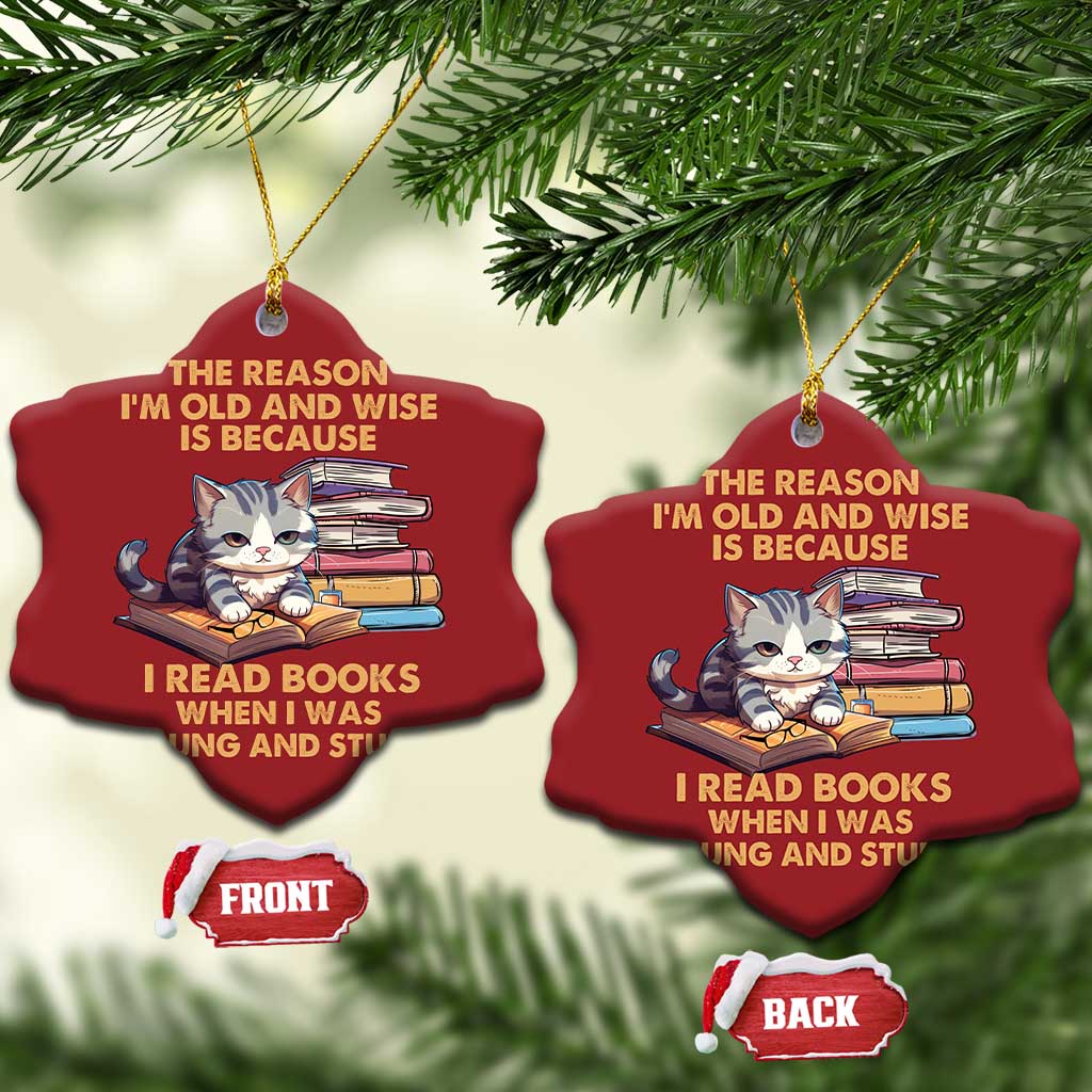 Cat Reading Christmas Ornament I'm Old And Wise Because I Read Books When I Was Young And Stupid Funny Reading Lover TS02
