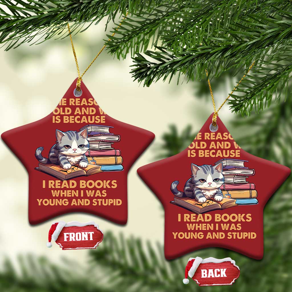 Cat Reading Christmas Ornament I'm Old And Wise Because I Read Books When I Was Young And Stupid Funny Reading Lover TS02