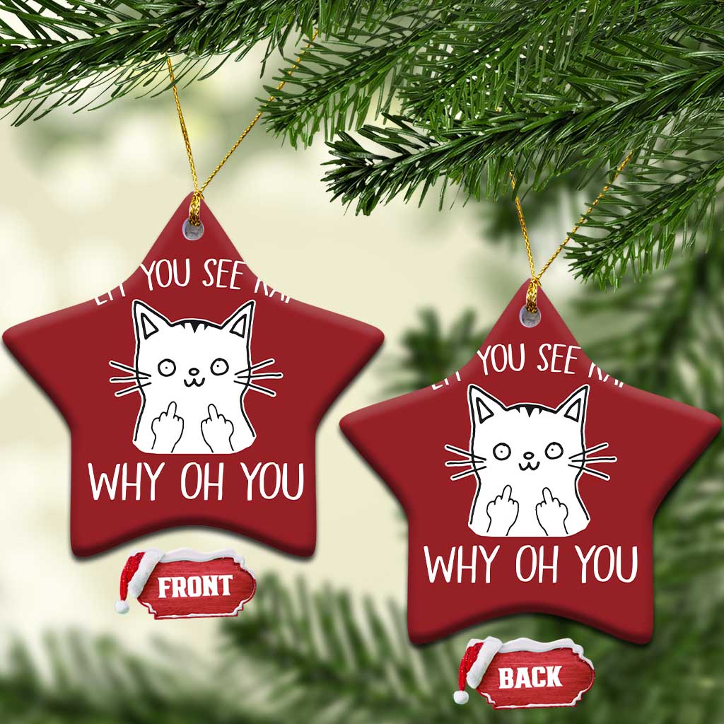 Sarcastic Cat Christmas Ornament Eff You See Kay Why Oh You Middle Finger TS02