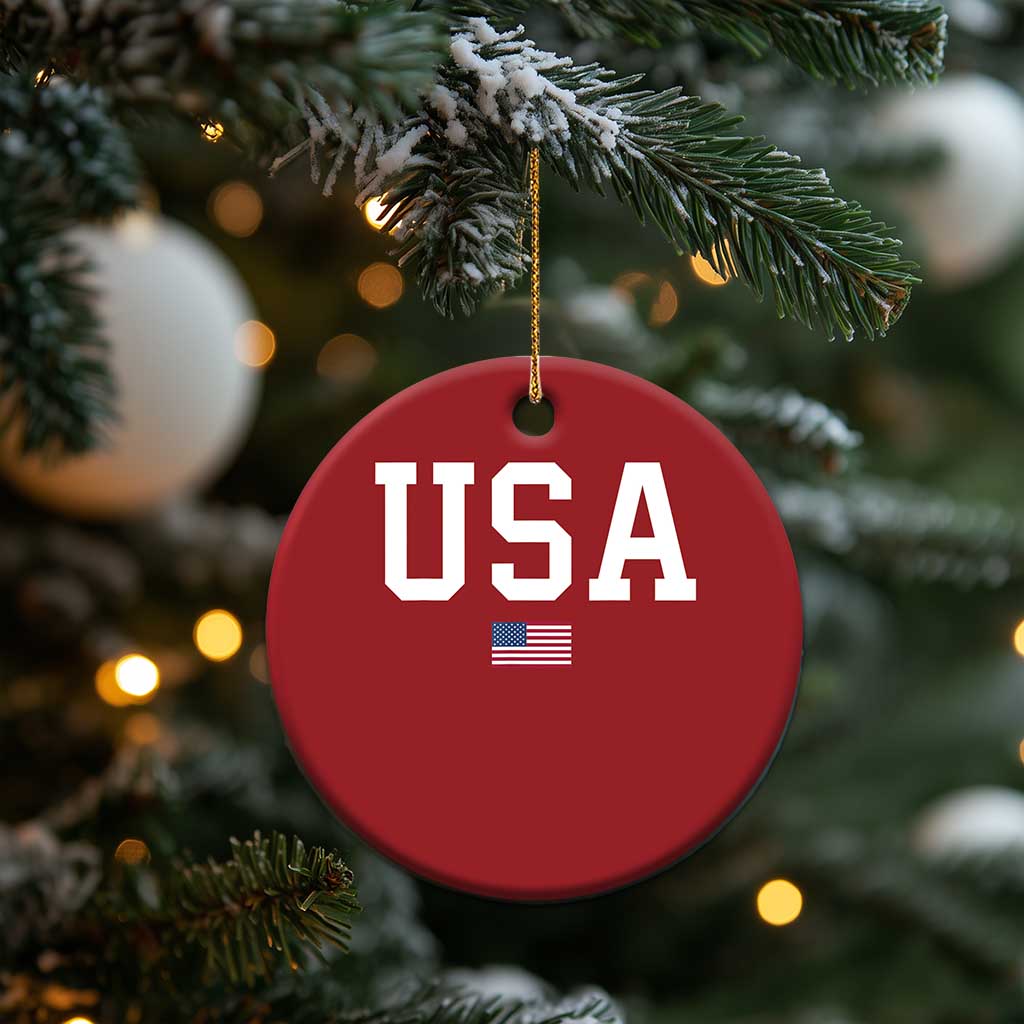 USA Christmas Ornament Patriotic American Flag TS02