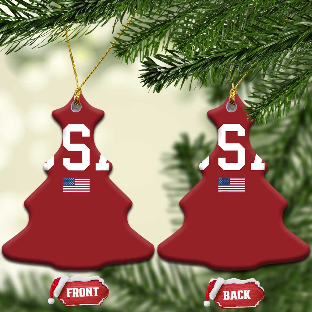 USA Christmas Ornament Patriotic American Flag TS02