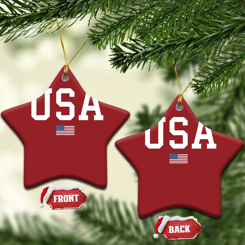 USA Christmas Ornament Patriotic American Flag TS02
