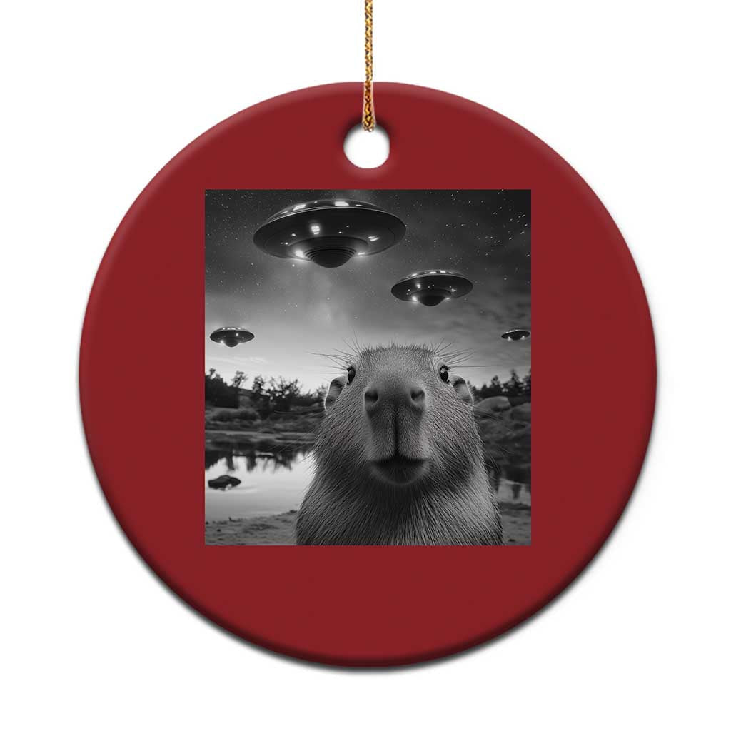 Funny Capybara Christmas Ornament Selfie With UFOs Capy Meme Graphic TS02