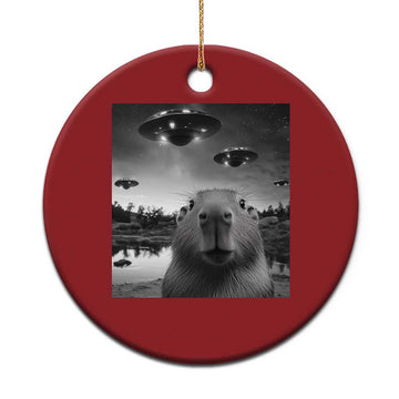 Funny Capybara Christmas Ornament Selfie With UFOs Capy Meme Graphic TS02