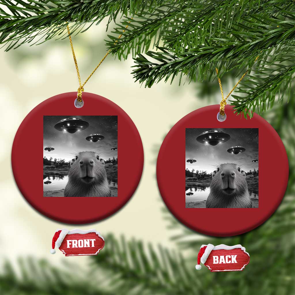Funny Capybara Christmas Ornament Selfie With UFOs Capy Meme Graphic TS02