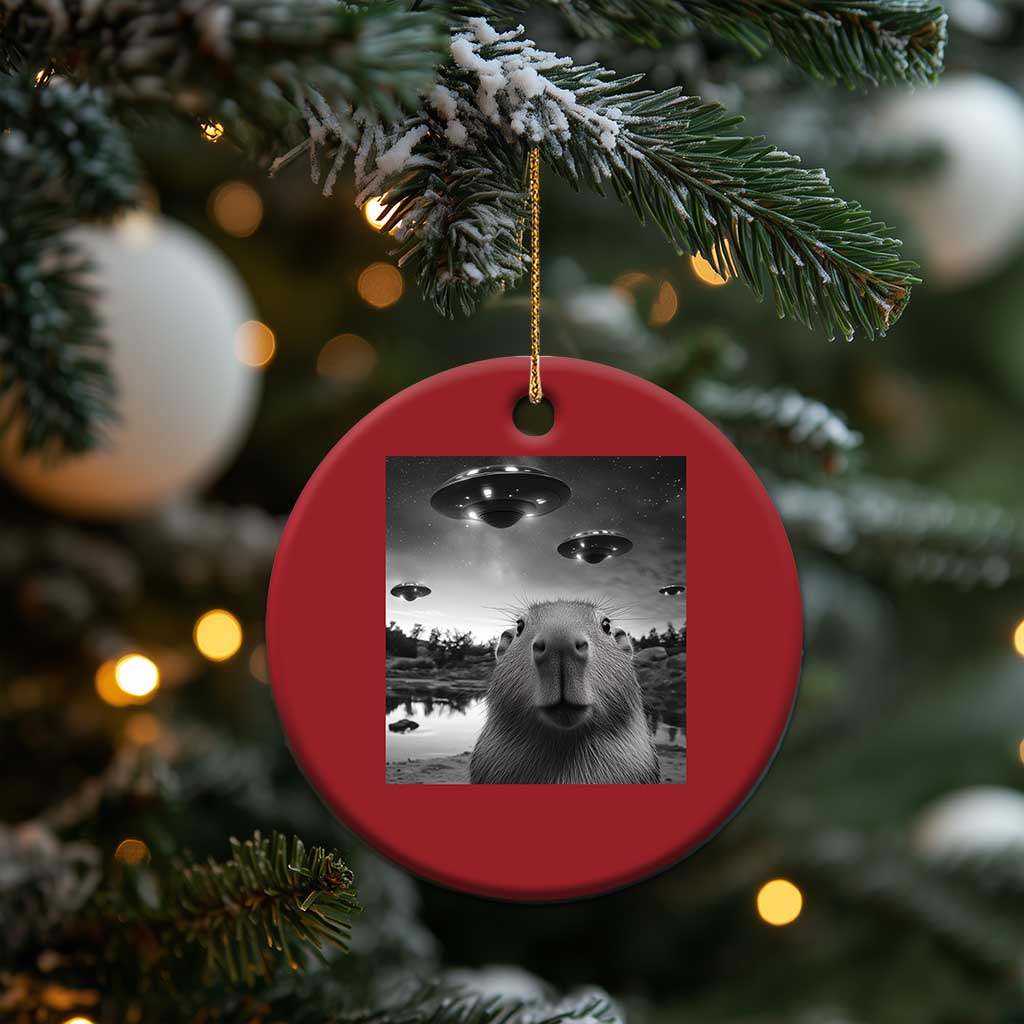 Funny Capybara Christmas Ornament Selfie With UFOs Capy Meme Graphic TS02