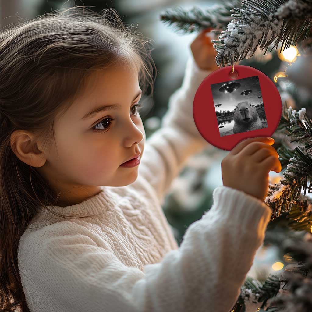 Funny Capybara Christmas Ornament Selfie With UFOs Capy Meme Graphic TS02