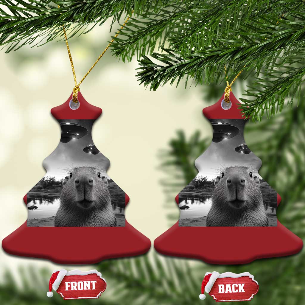 Funny Capybara Christmas Ornament Selfie With UFOs Capy Meme Graphic TS02