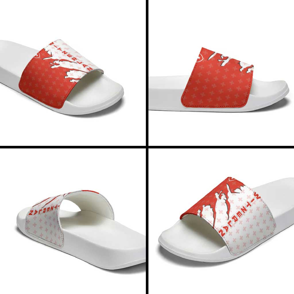 Switzerland Map Scratch Claw Swiss Flag Slide Sandals with Vertical Text TS04