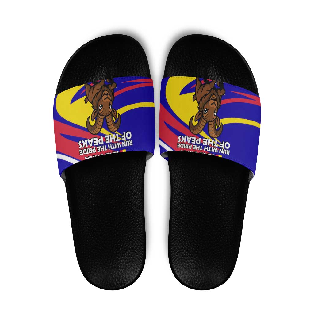 Andorra Slide Sandals with Cartoon Ibex and Swirl Stripe Design TS04