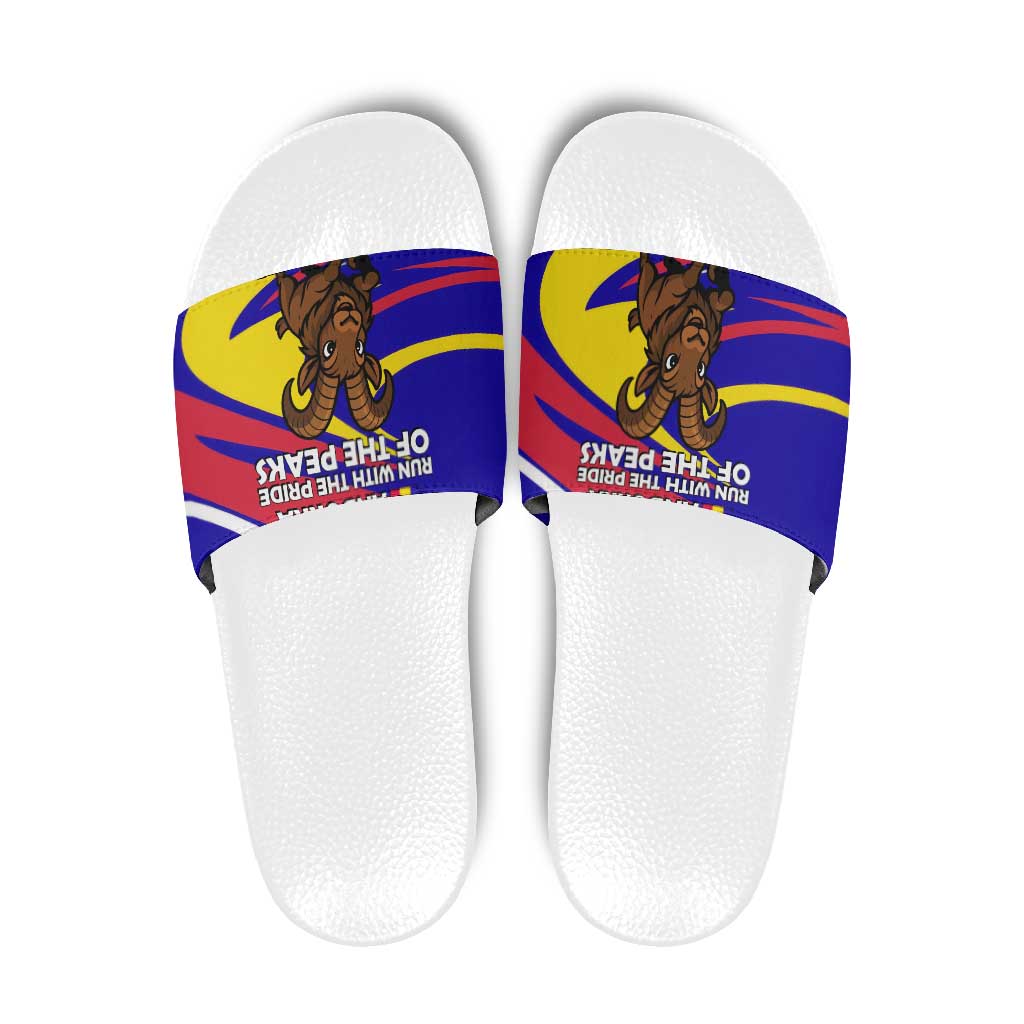 Andorra Slide Sandals with Cartoon Ibex and Swirl Stripe Design TS04