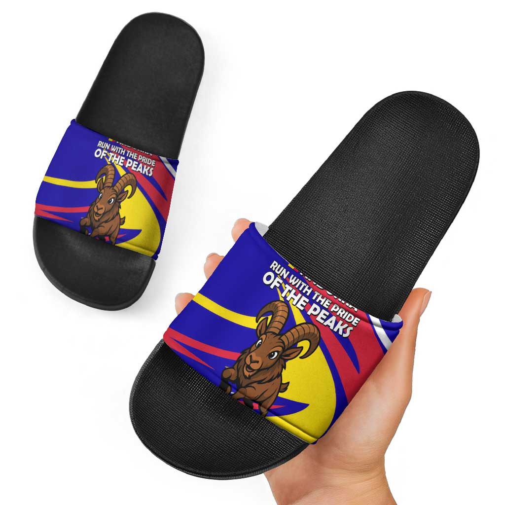 Andorra Slide Sandals with Cartoon Ibex and Swirl Stripe Design TS04