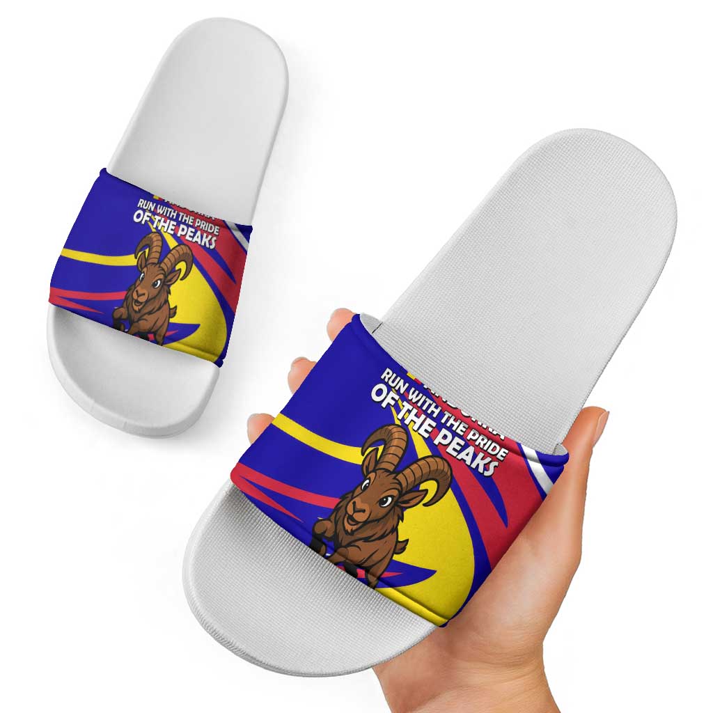 Andorra Slide Sandals with Cartoon Ibex and Swirl Stripe Design TS04