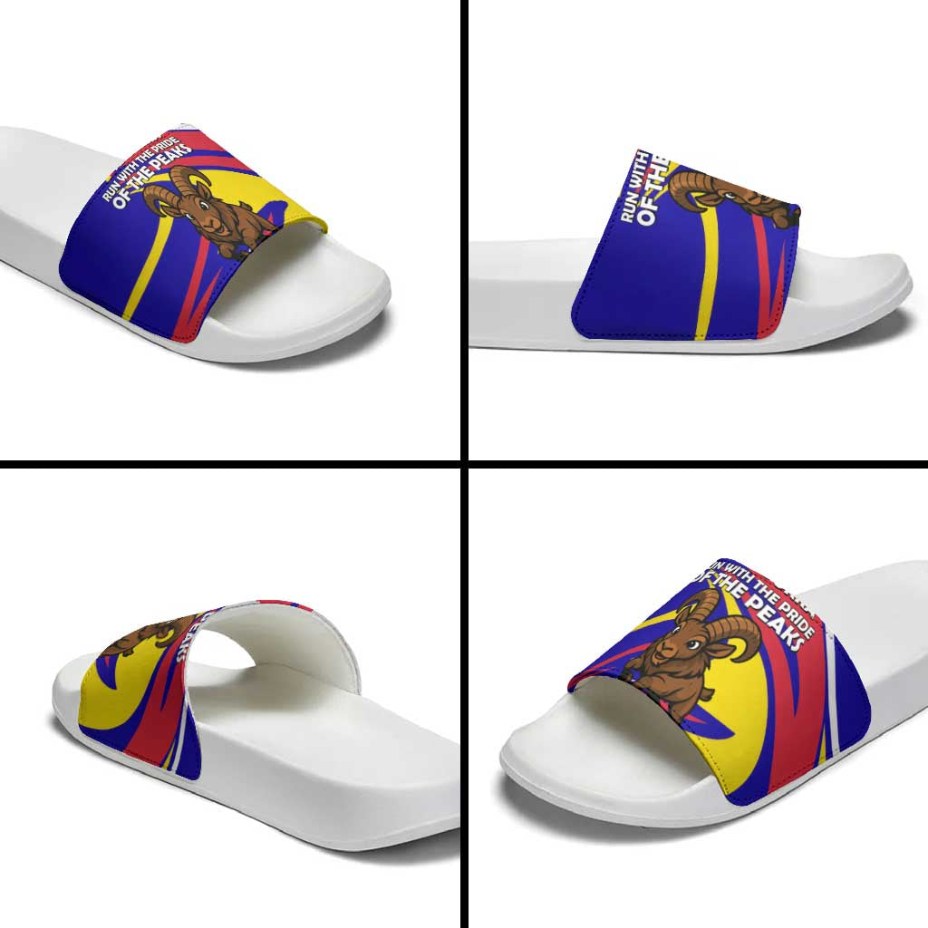 Andorra Slide Sandals with Cartoon Ibex and Swirl Stripe Design TS04